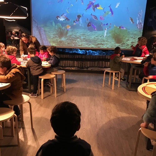 bambino in gita all'acquario